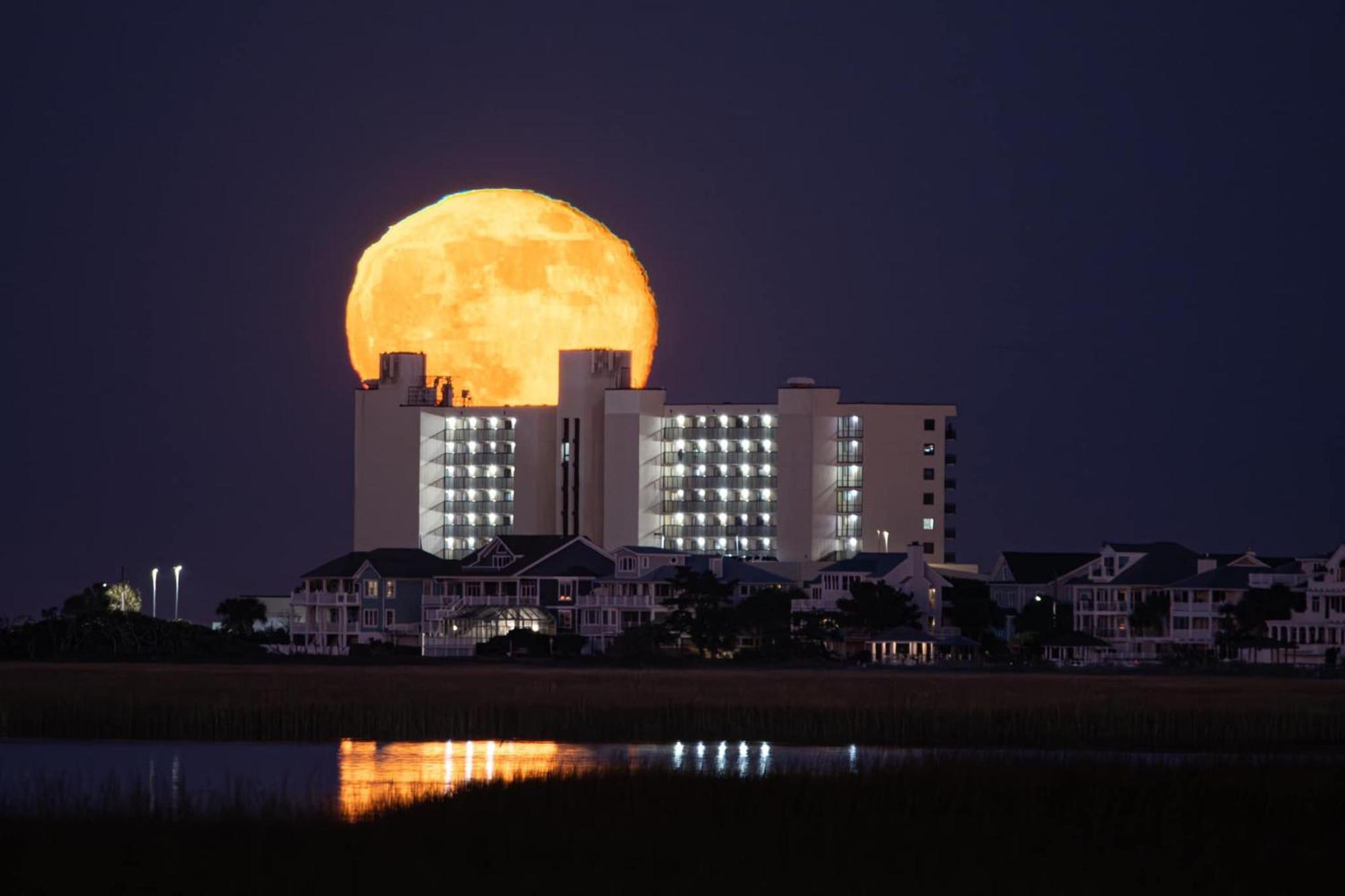 Shell Island Resort - All Oceanfront Suites Wrightsville Beach Exterior foto